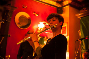 Fiddlers_StPatricksDay2014_054